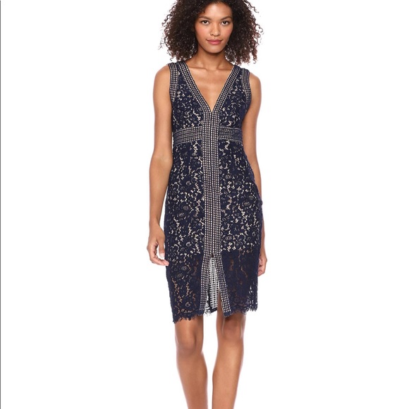 bardot navy lace dress
